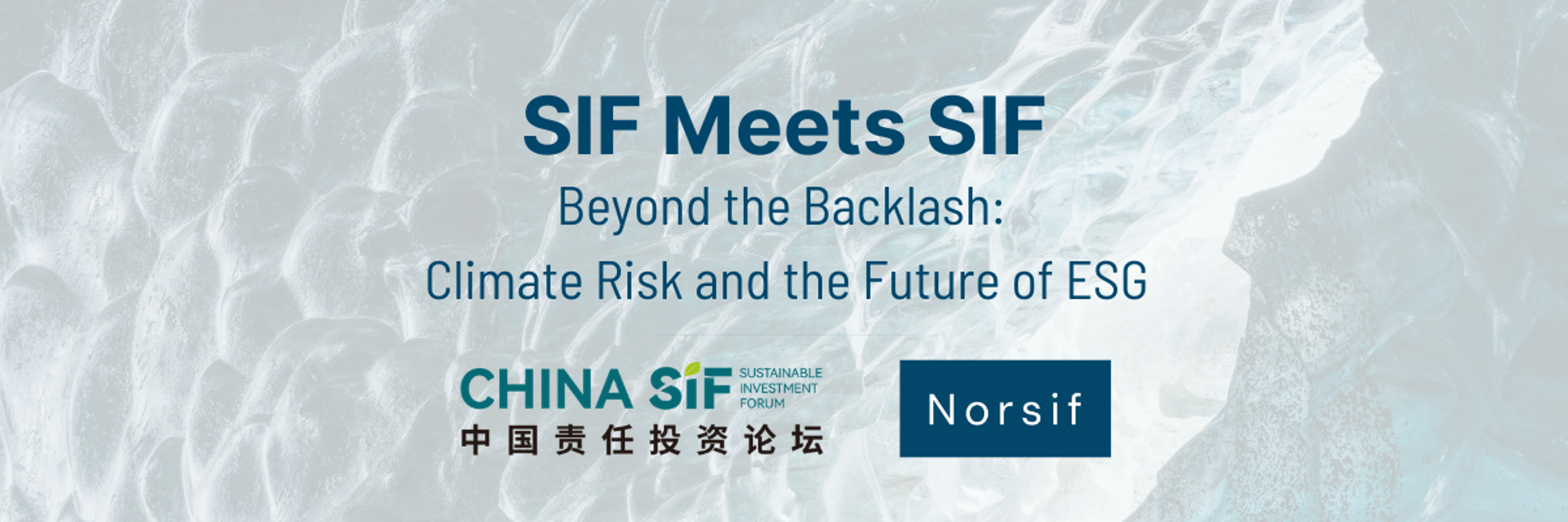 SIF Meets SIF: Beyond the Backlash: Climate Risk and the Future of ESG