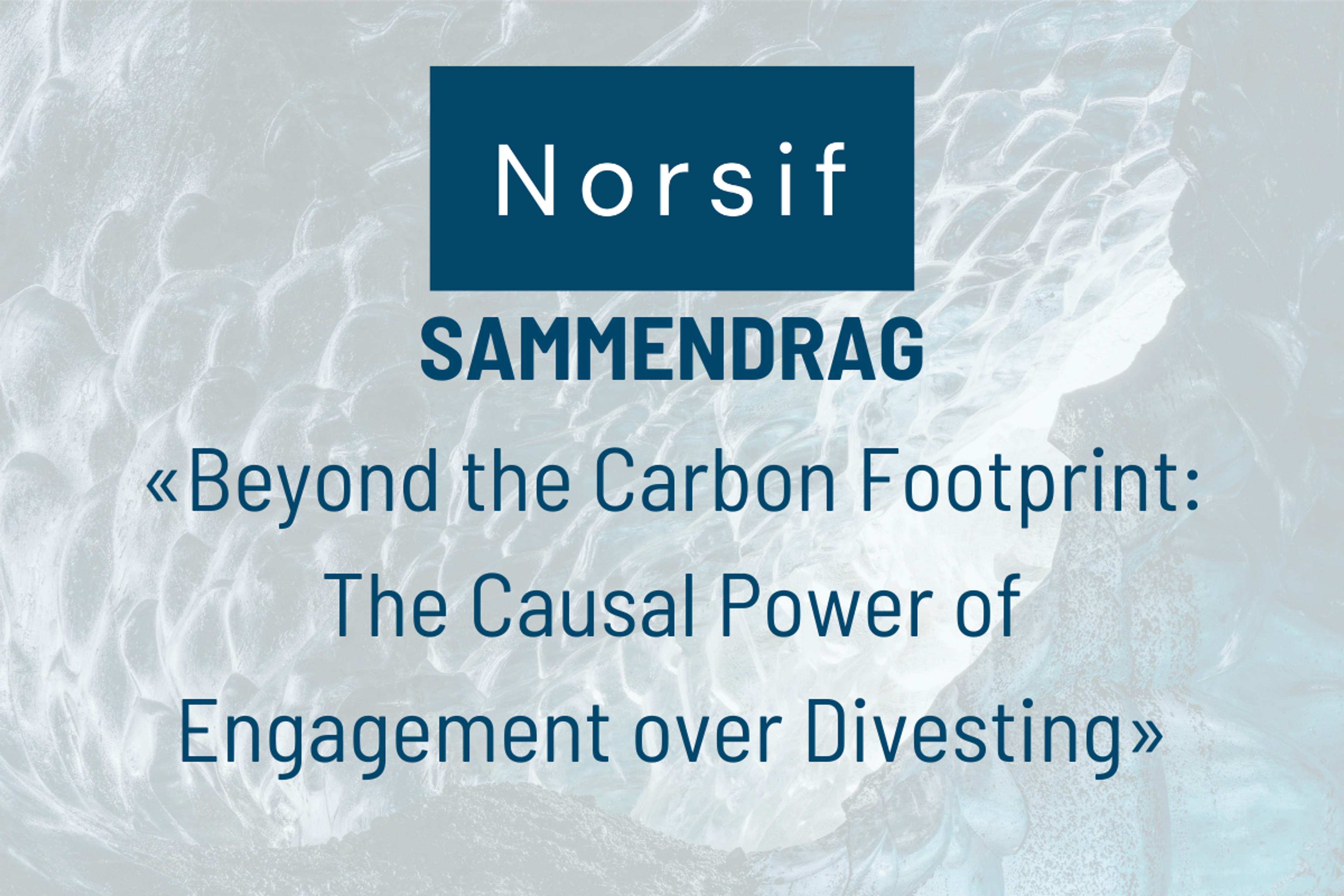Sammendrag: Beyond the Carbon Footprint: The Causal Power of Engagement over Divesting