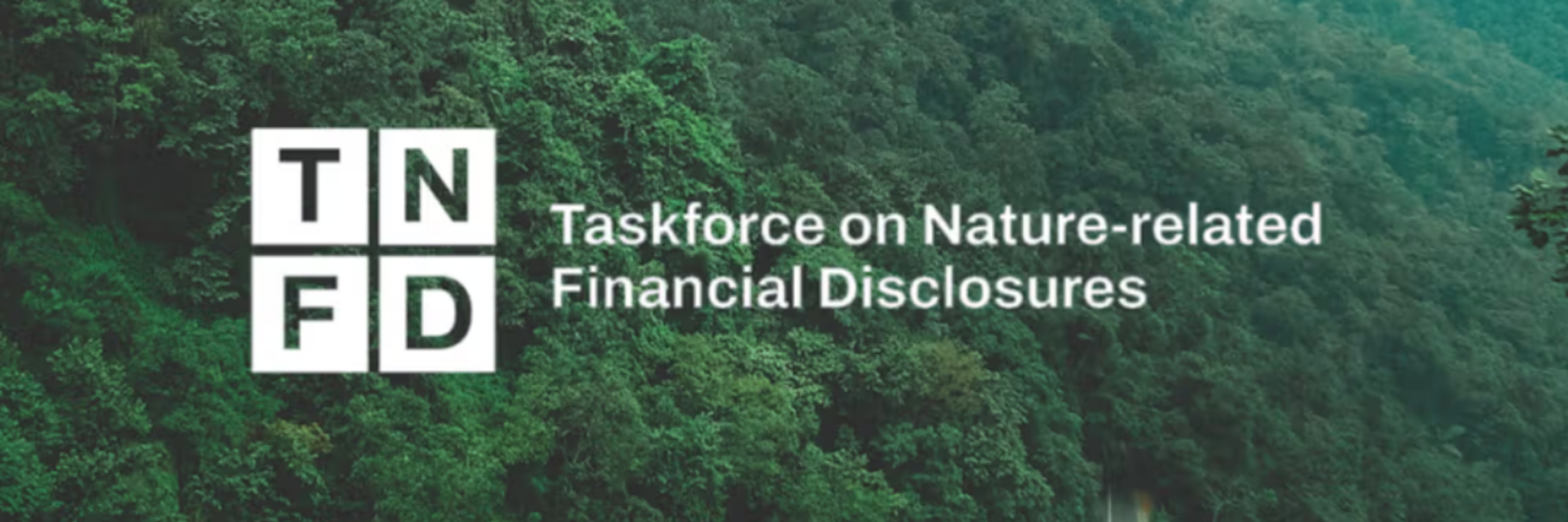 Norsif formidler: TNFD-webinar om investorers eierskapsutøvelse på naturrisiko