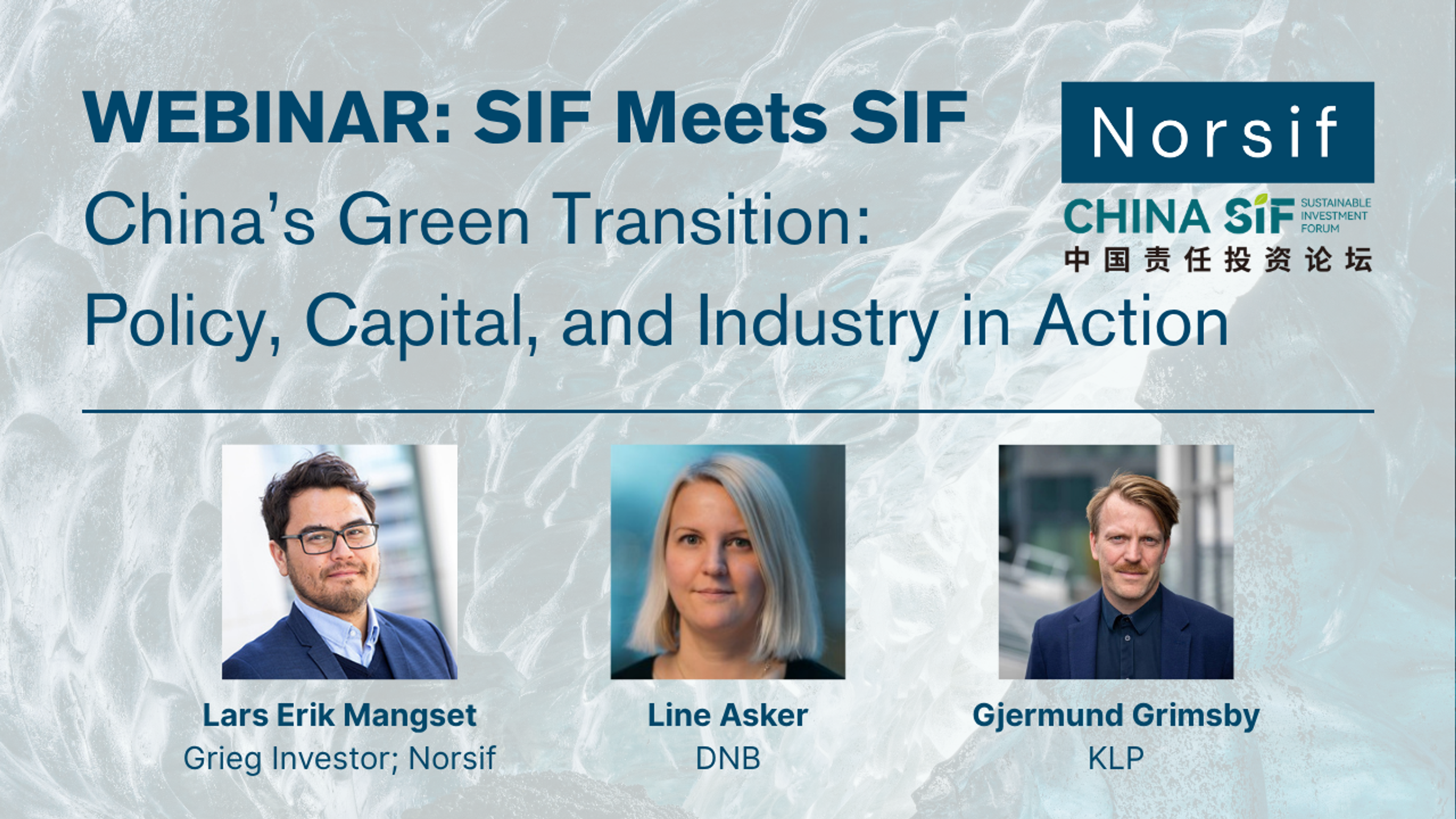 SIF Meets SIF Webinar: Beyond the Backlash: Climate Risk and the Future of ESG