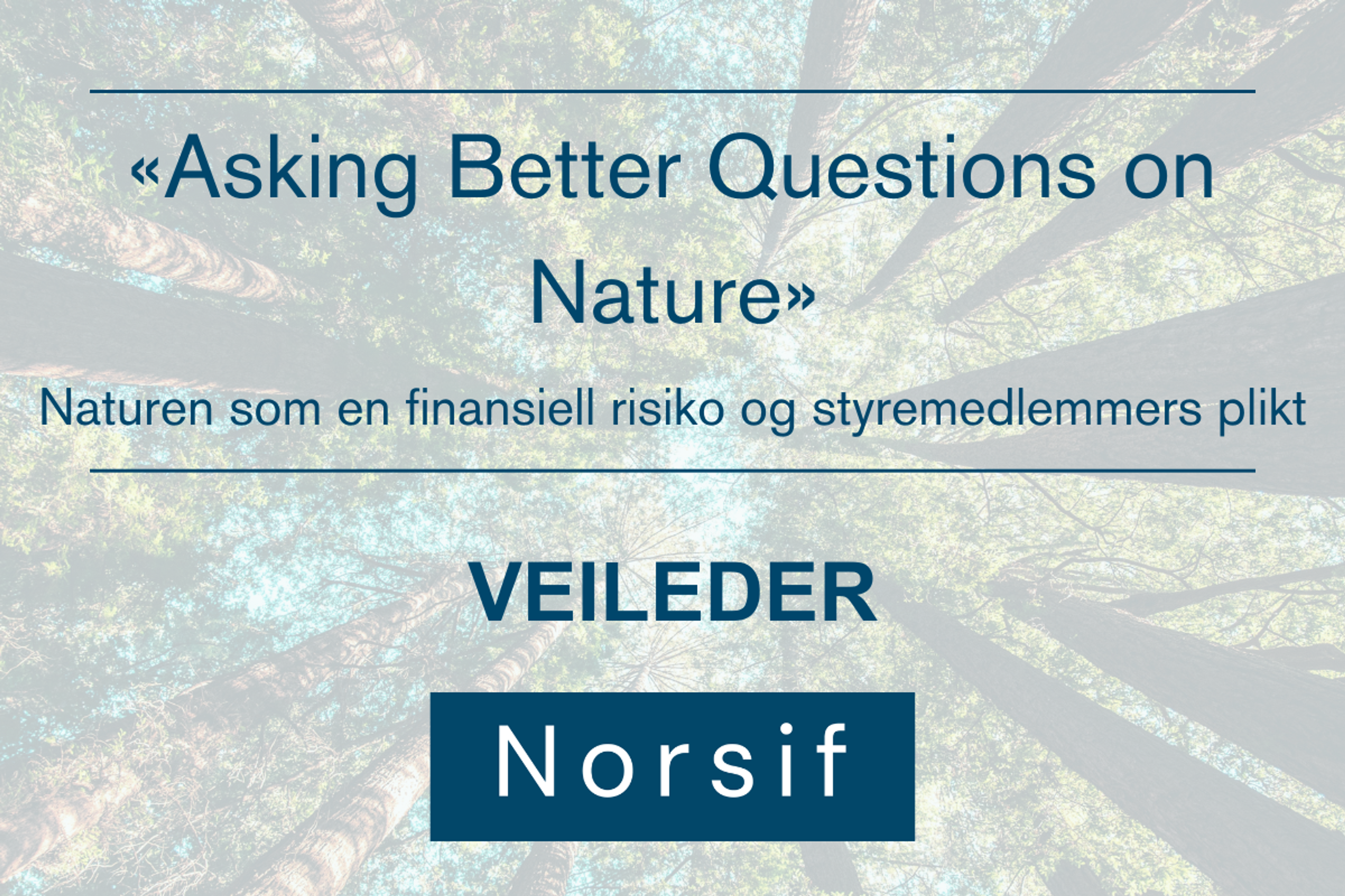 «Naturen som en finansiell risiko og styremedlemmers plikt»