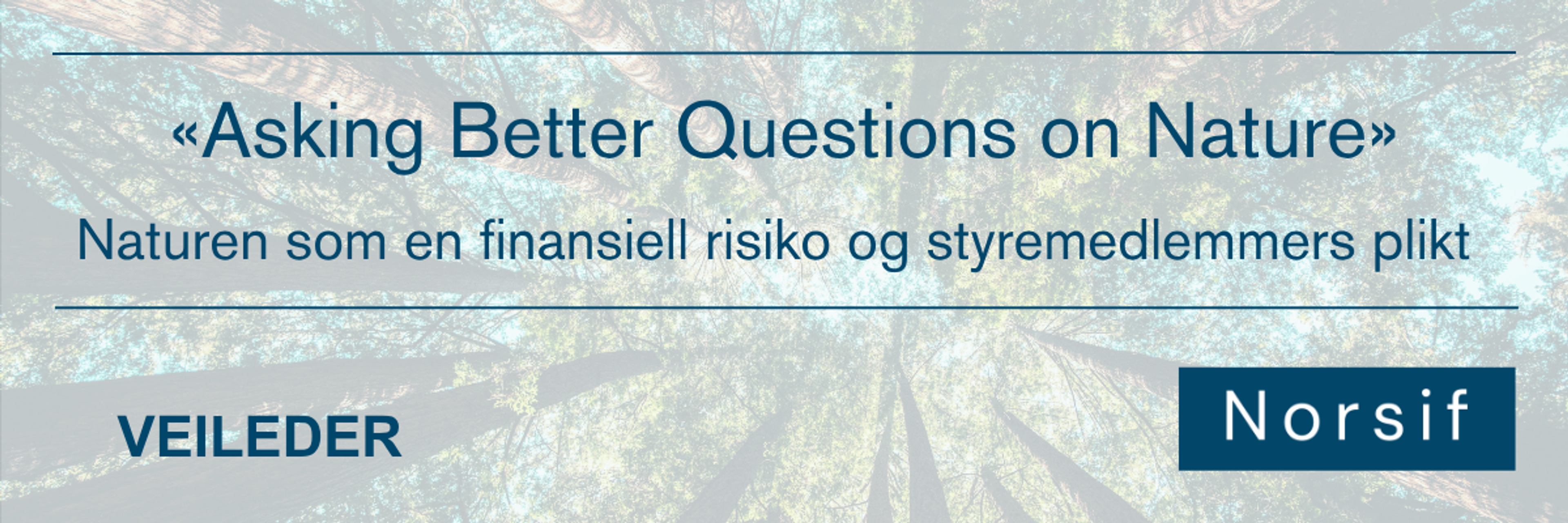 «Naturen som en finansiell risiko og styremedlemmers plikt»