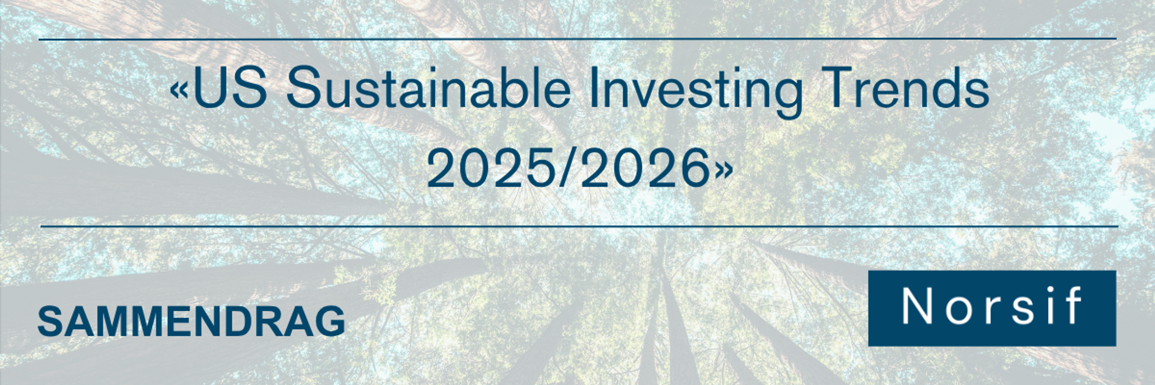 «US Sustainable Investing Trends 2025/2026»