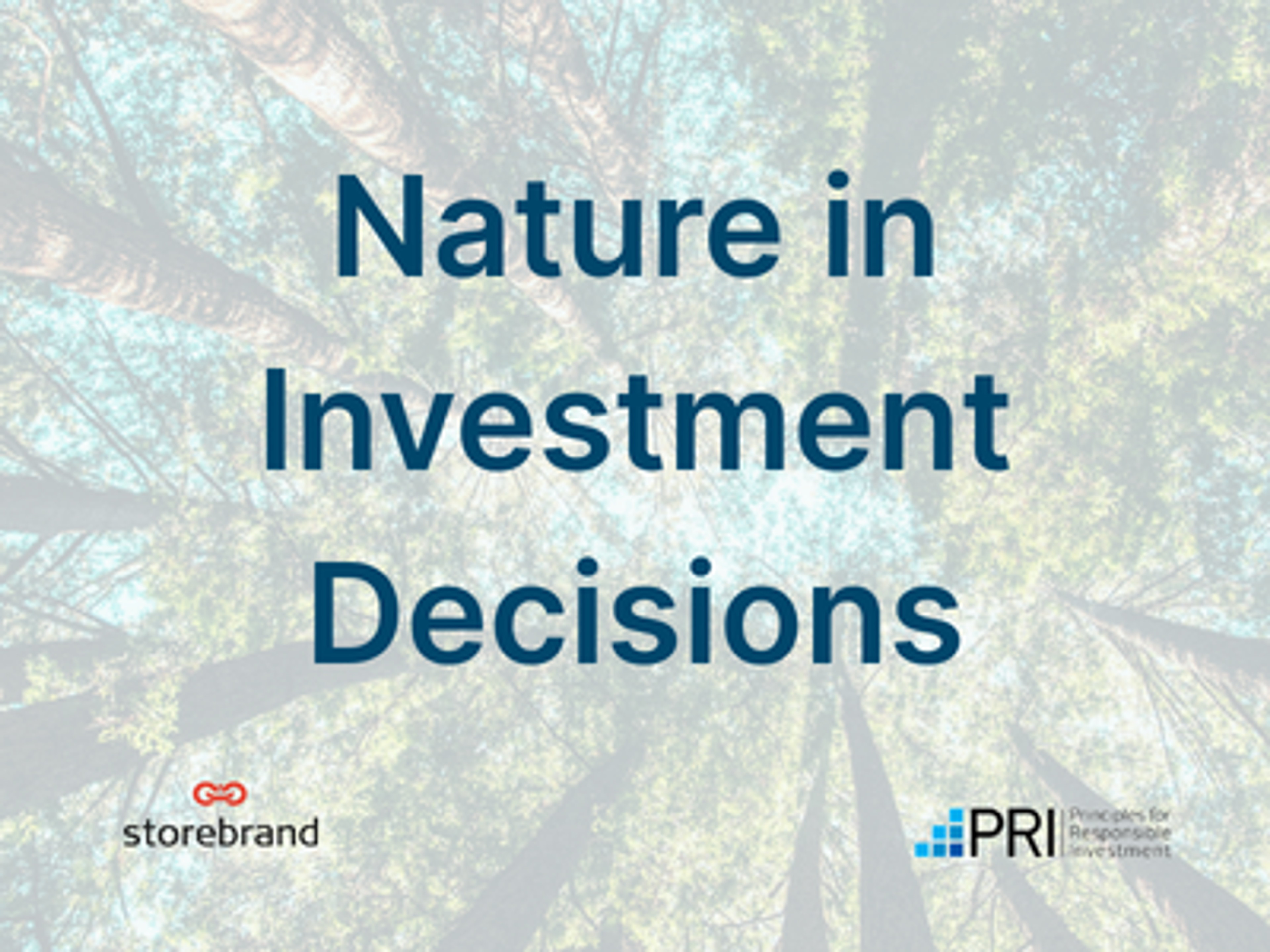 Norsif informs: Nature in Investment Decisions
