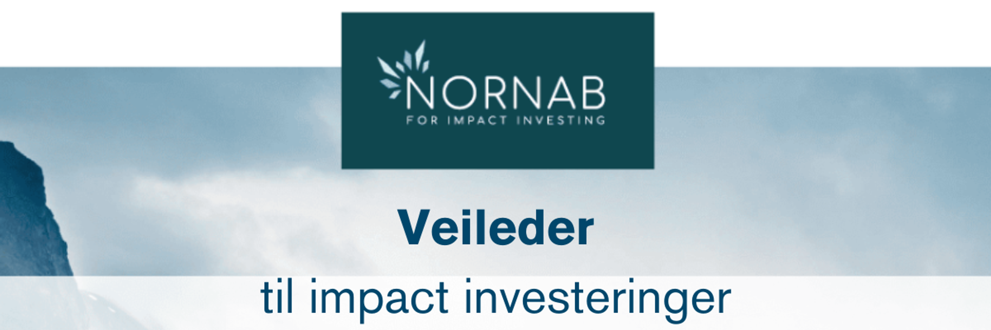 Veileder til Impact-investeringer