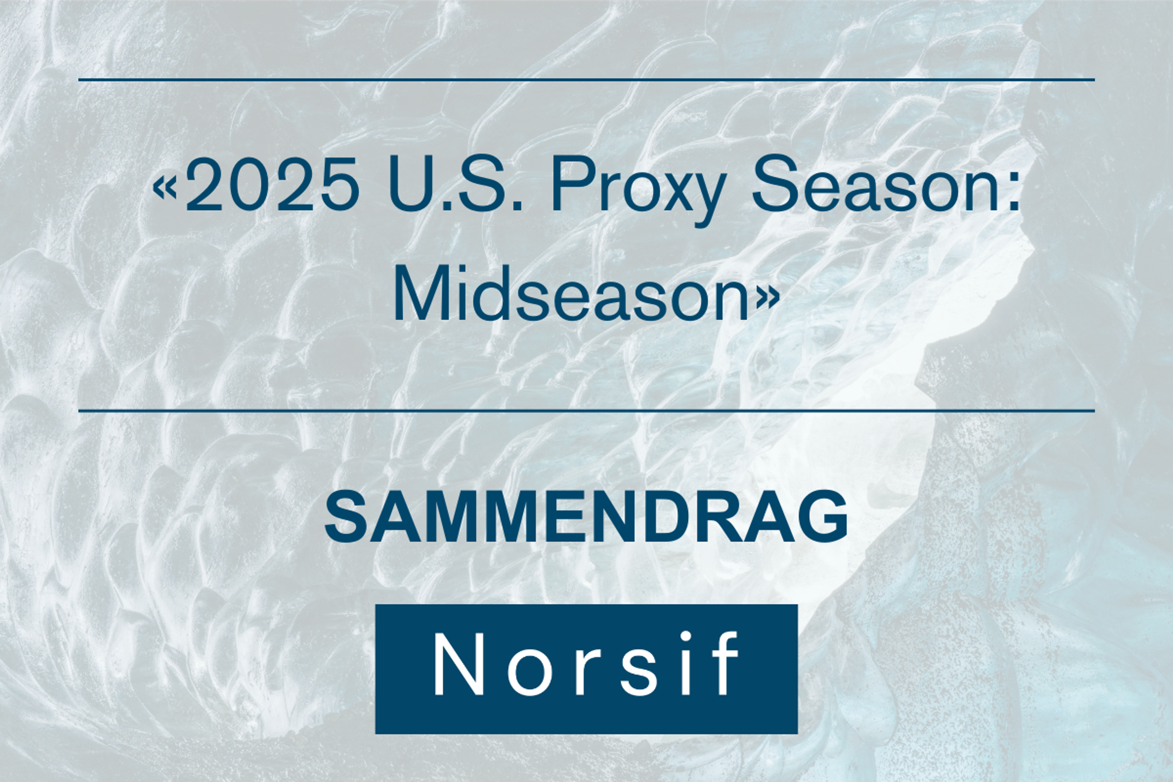 «2025 U.S. Proxy Season: Midseason»