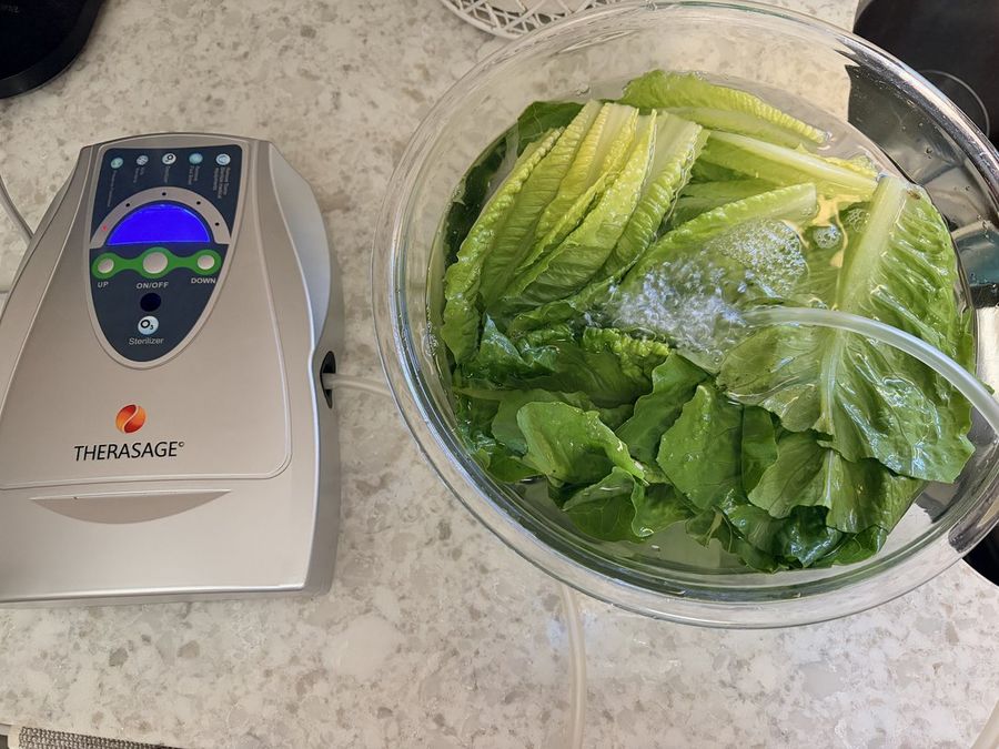 Therasage ozone sterilizer
