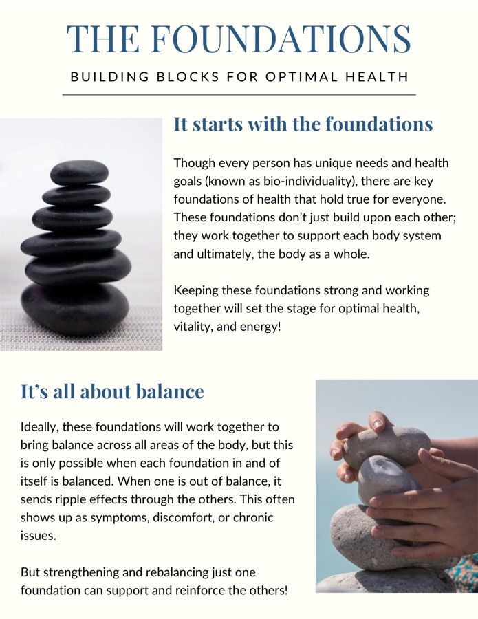 Cover of The Foundations — Building Blocks for Optimal Health