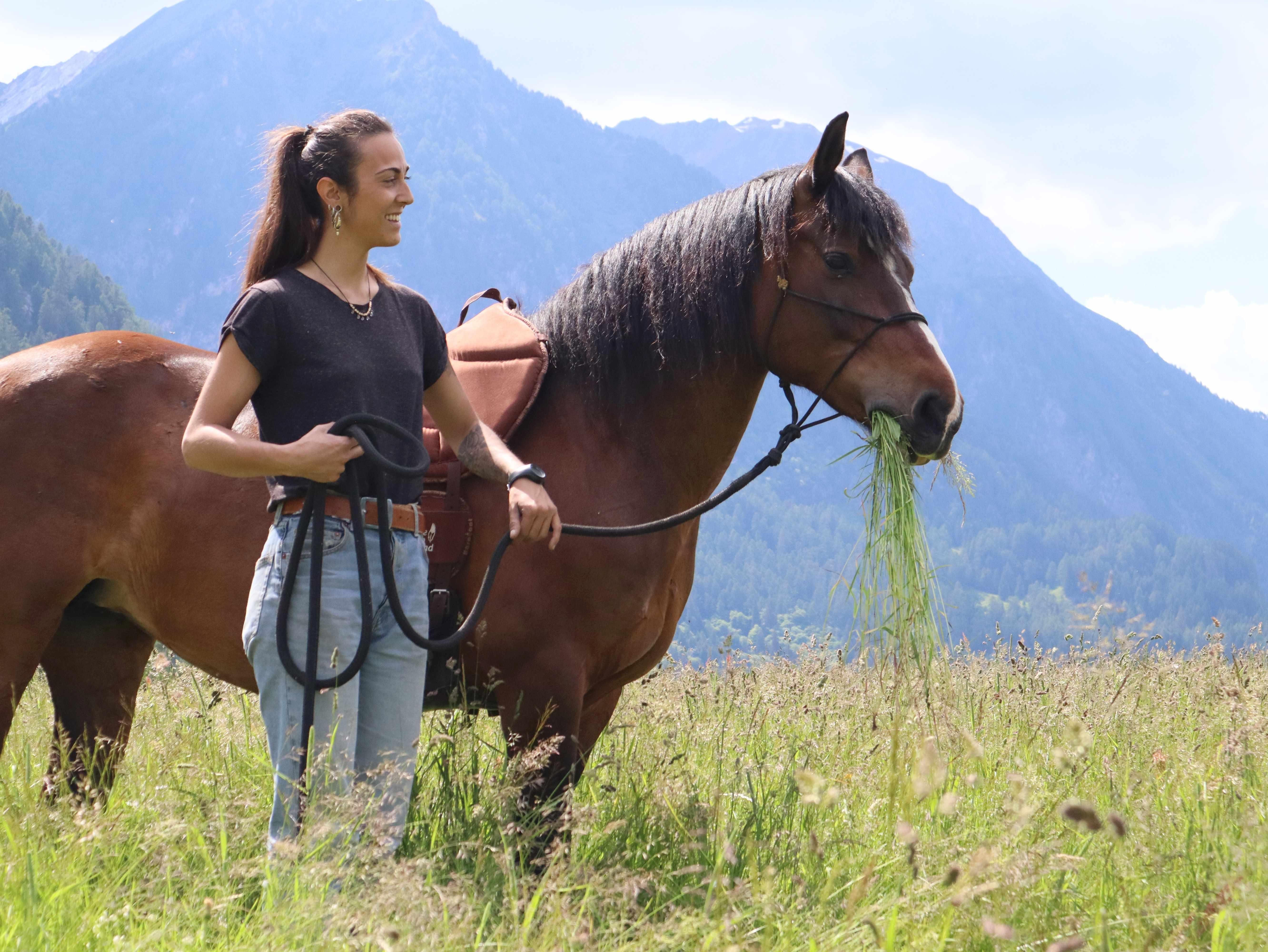 Image 1 - HorseWay Boscobello