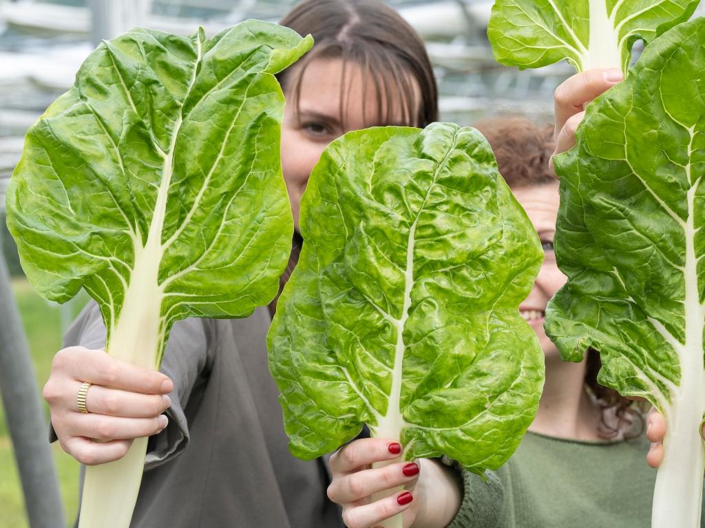 Image 1 - Agriesperienza - Azienda Catibio