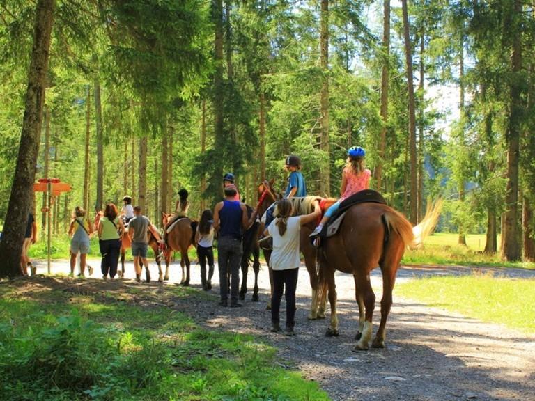 Image 3 - Passeggiate a cavallo per tutti - Allevamento Wyder