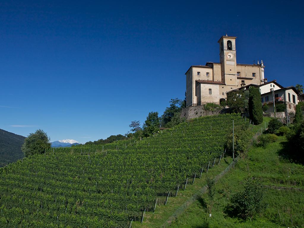 Image 0 - Sentiero didattico Tracce d'uomo