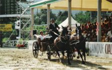 Image 1 - Scuderia Isola Martella