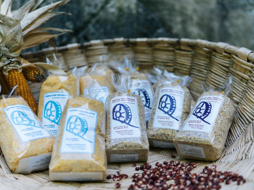 Image 1 - Polenta - La ricetta