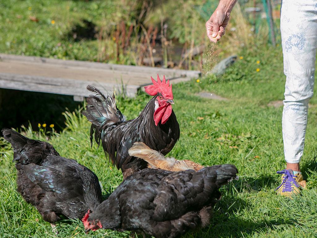 Image 7 - Capanna Bovarina