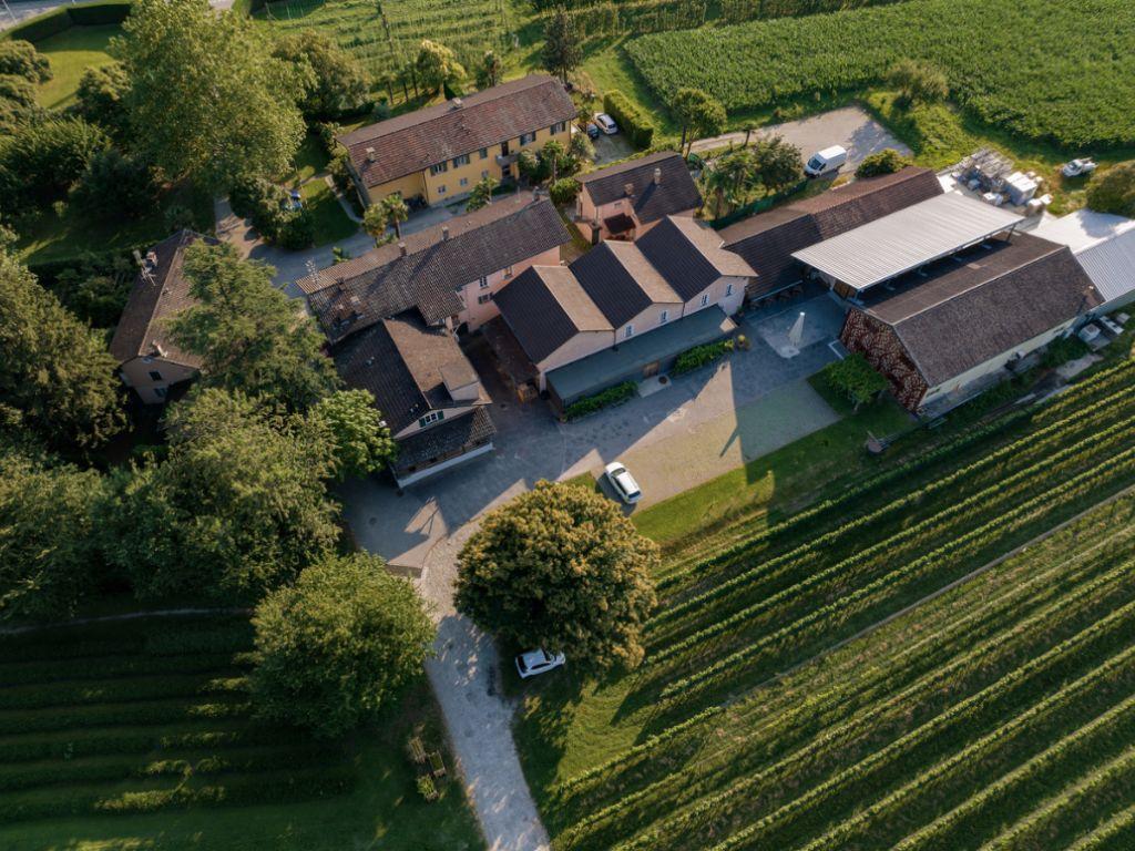 Image 0 - Visits and tastings at Cantina alla Maggia