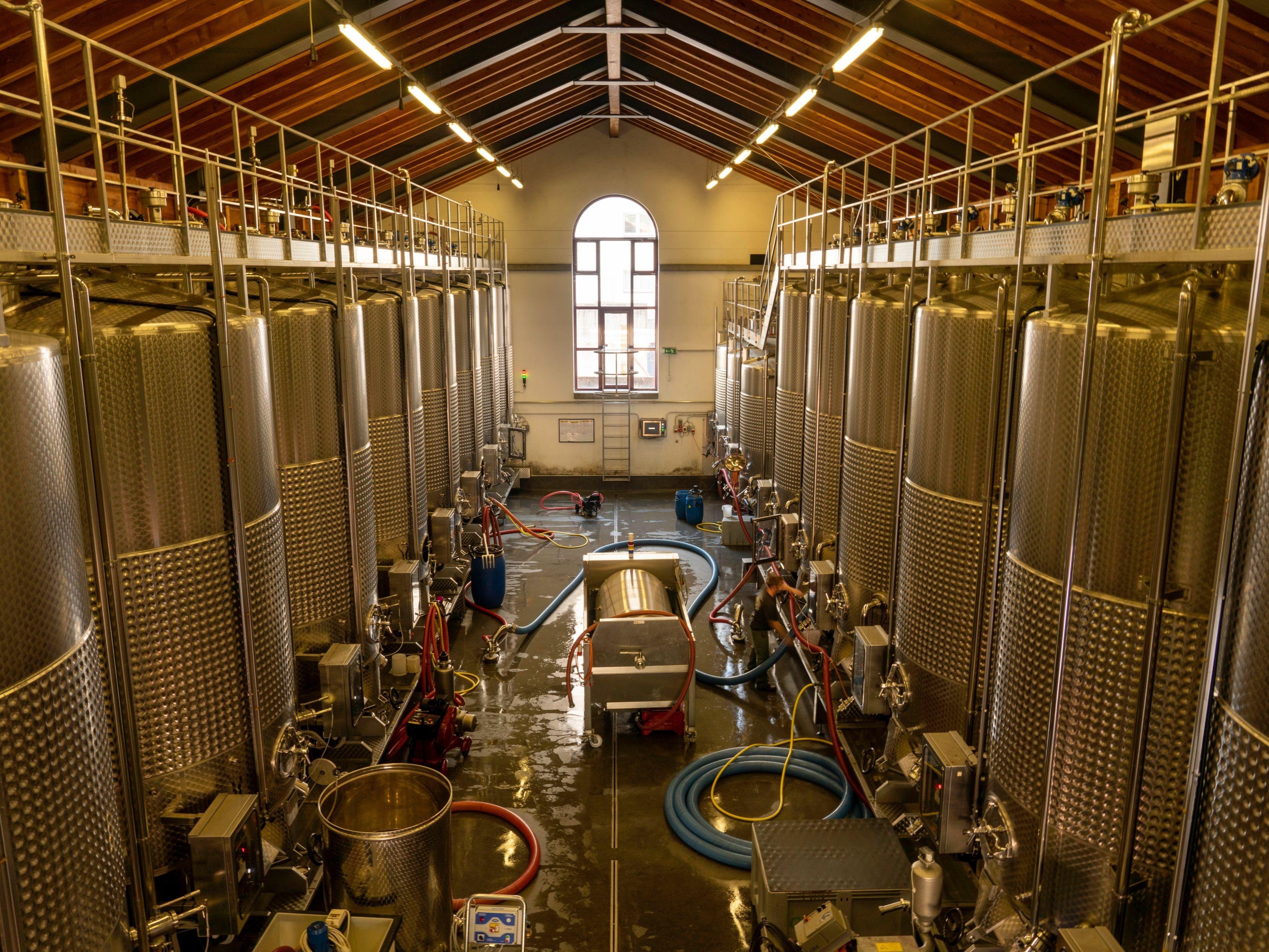 Image 9 - Cagi - Cantina Giubiasco SA