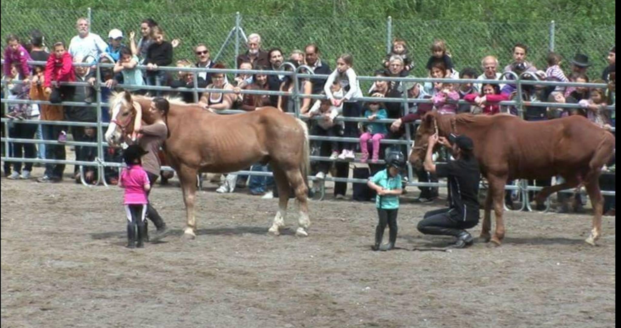 Image 0 - Scuderia Sassengo