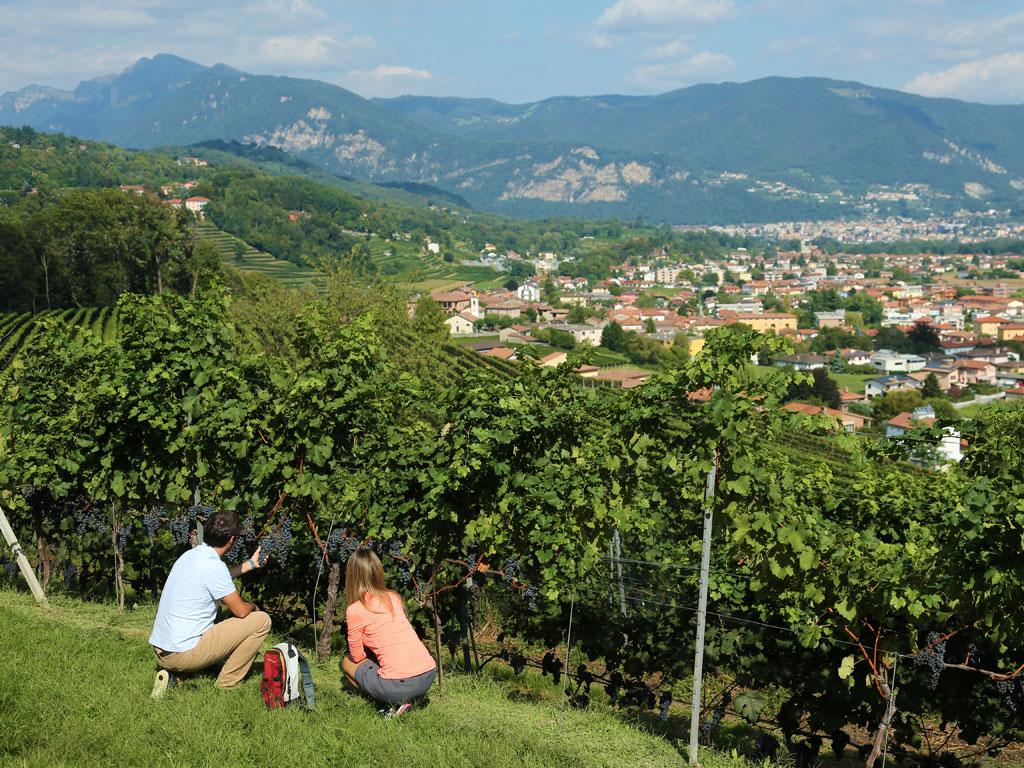 Image 2 - Ticinowine