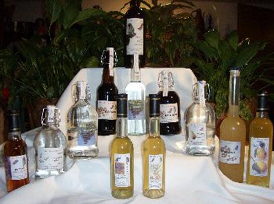 Image 0 - Cantina La  Civetta