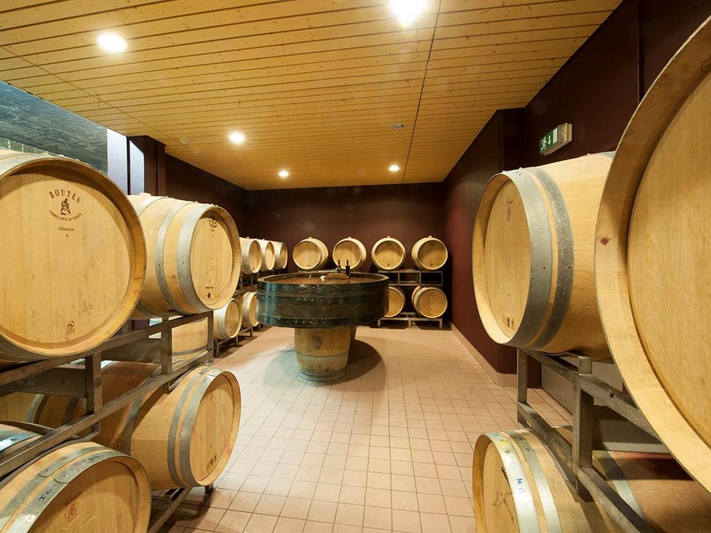 Image 1 - Cagi - Cantina Giubiasco SA