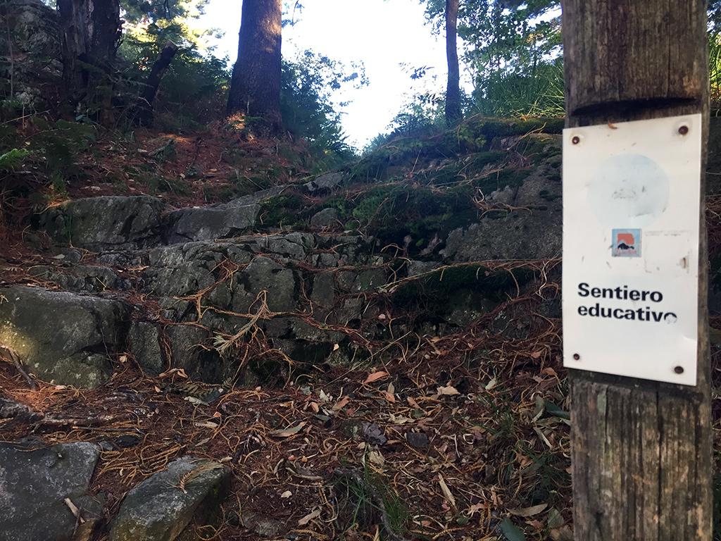 Image 5 - Discover the Maia Woodland