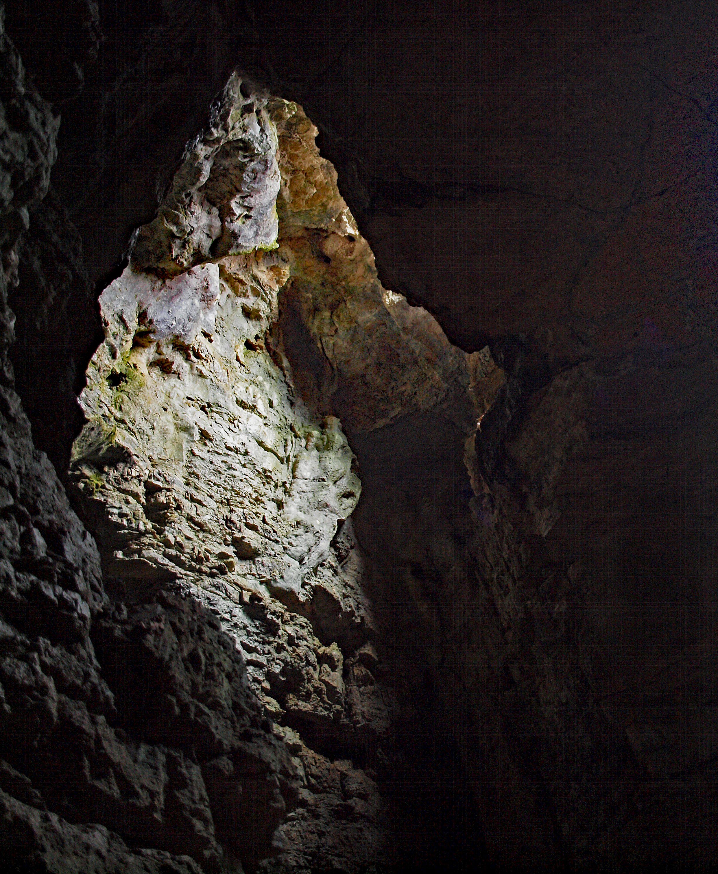Image 2 - 