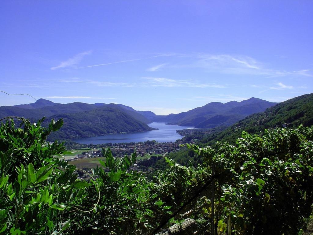 Image 7 - Wine cellar Monti