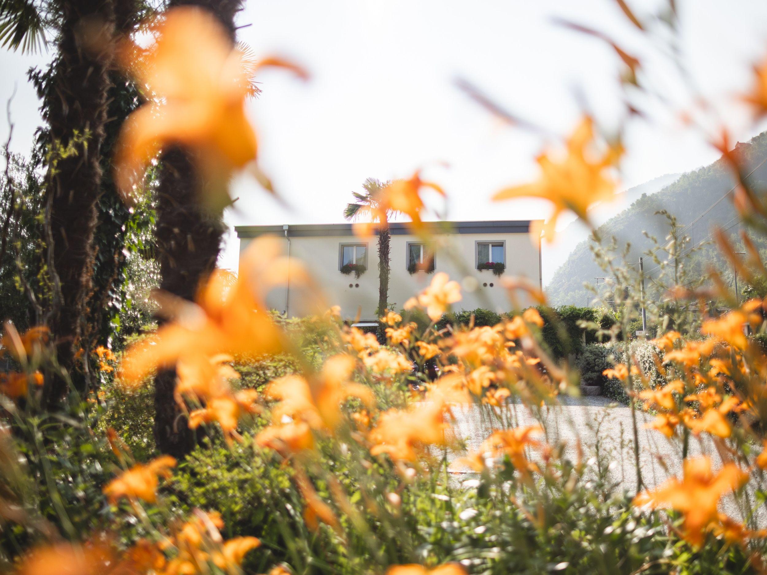 Image 1 - Charme Hotel Barbatè 