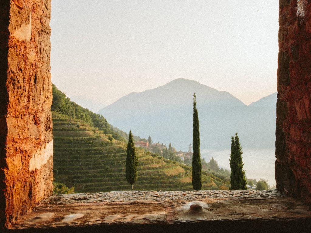 Image 5 - Tenuta Castello di Morcote