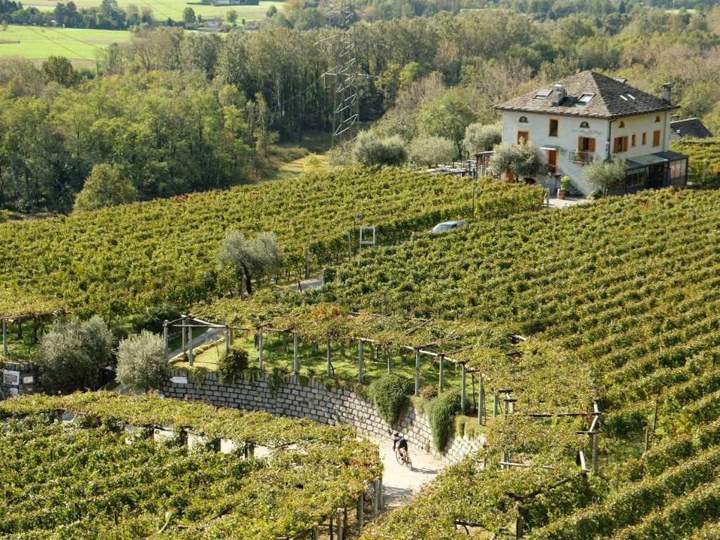 Image 11 - Velo Café Bar - Store e Customs 