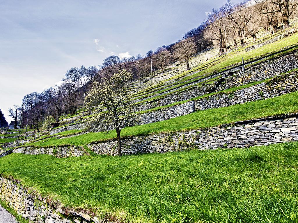 Image 2 - Linescio: villaggio terrazzato