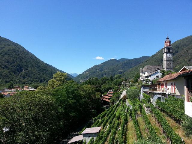 Image 7 - Cantina Hefti vini