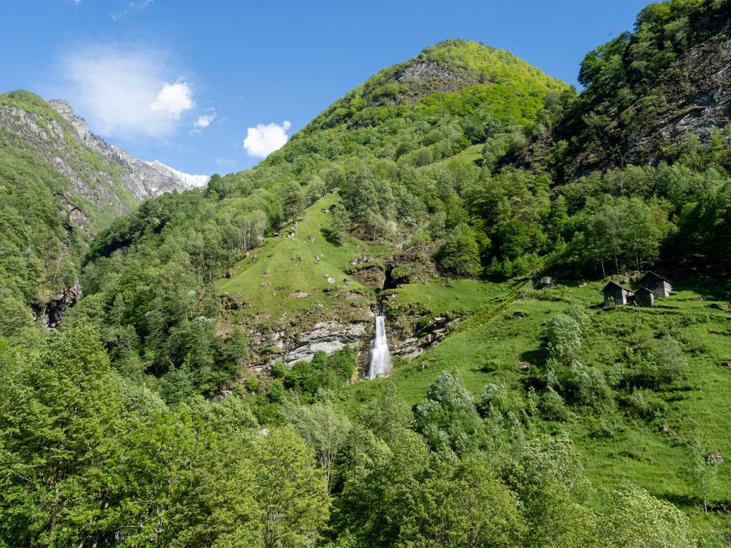 Image 5 - Villa Pineta