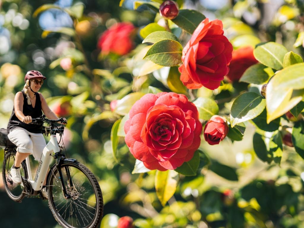 Image 0 - Camélias & lac en vélo électrique