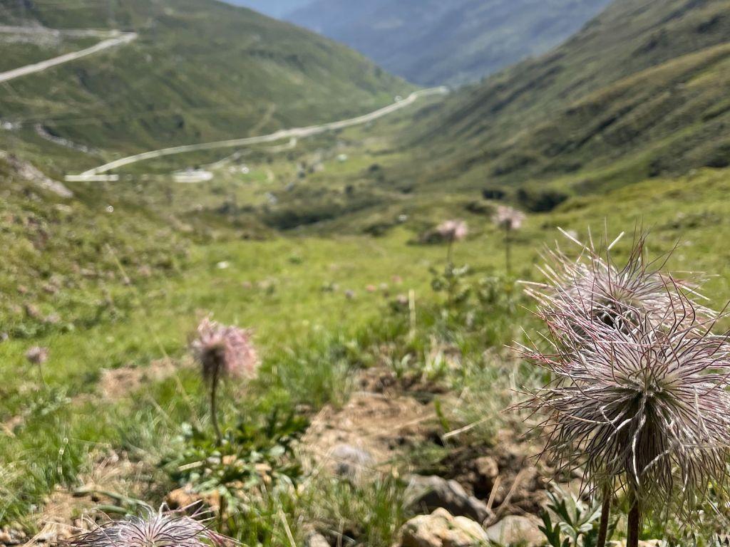 Image 4 - Capanna Corno Gries