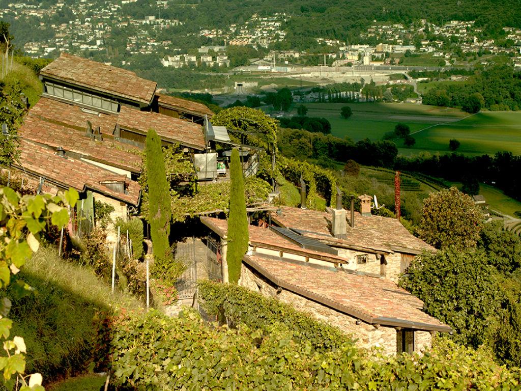 Image 3 - Wine cellar Monti