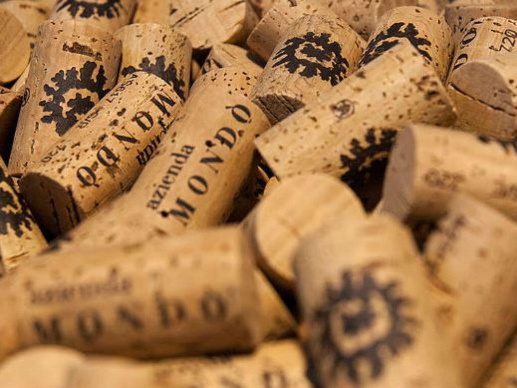 Image 0 - Wine cellar Mondò