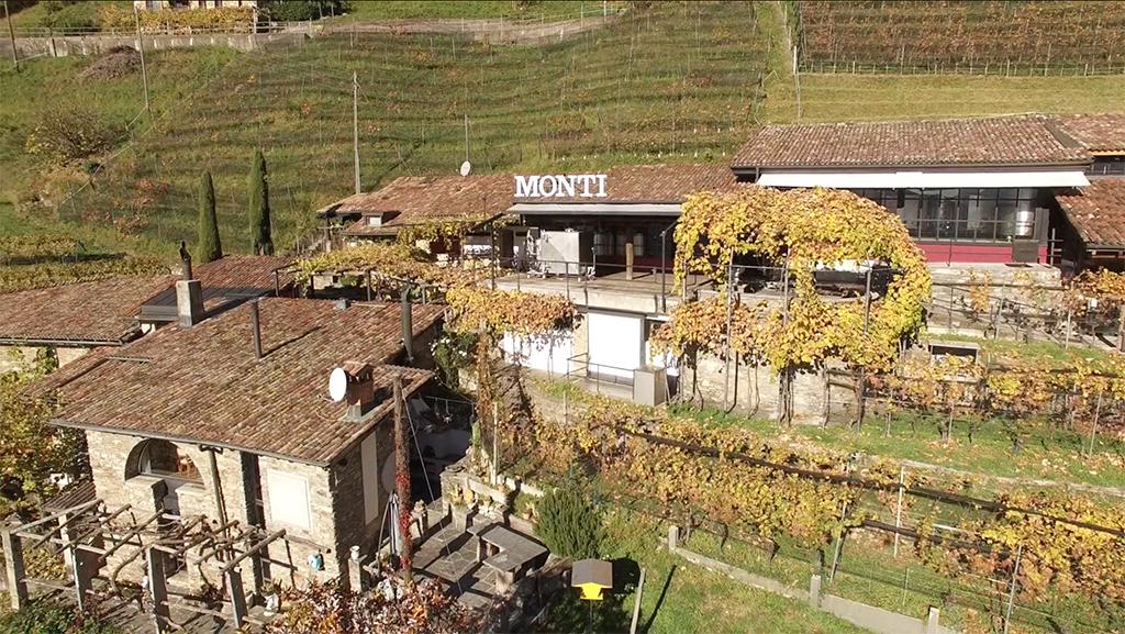 Image 6 - Wine cellar Monti