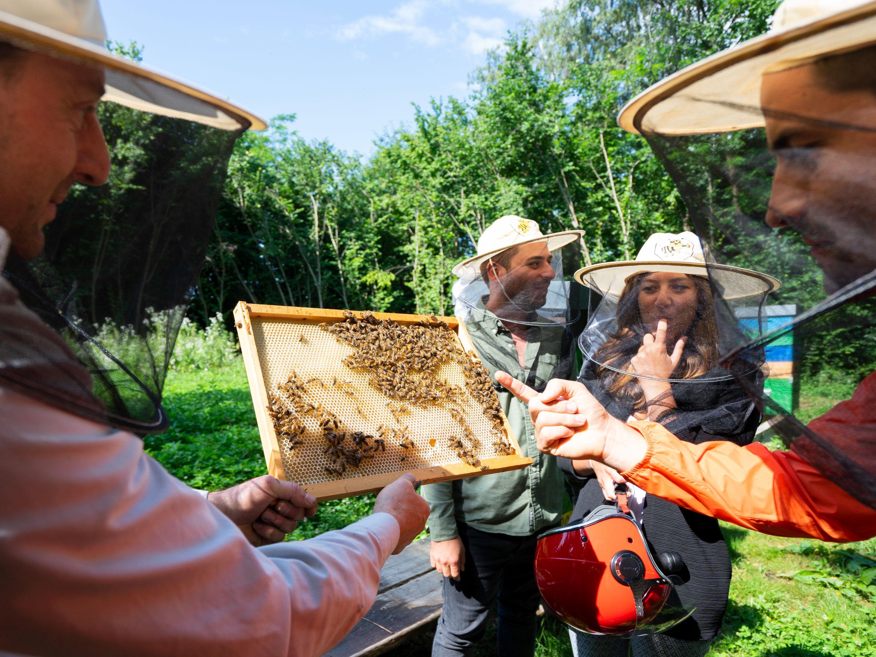 Image 3 - Inticino - Local and sustainable experiences