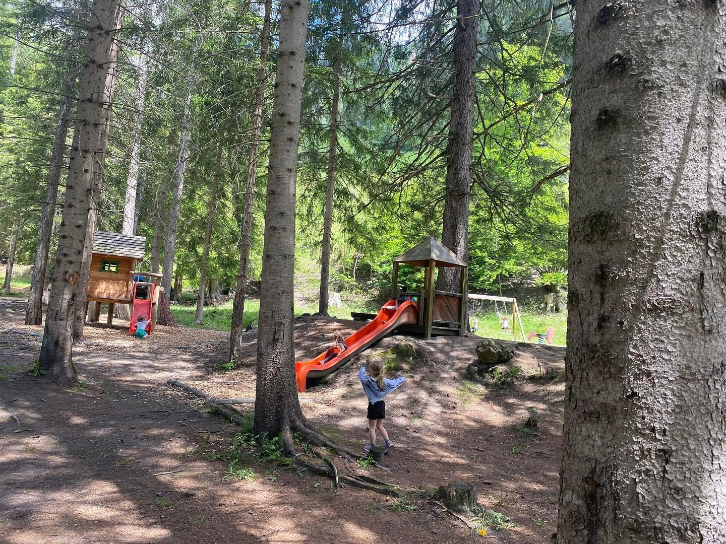 Image 1 - Camp Parco Saracino