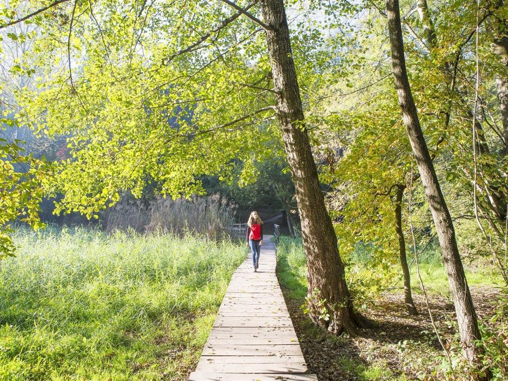 Image 2 - Laghetto di Origlio