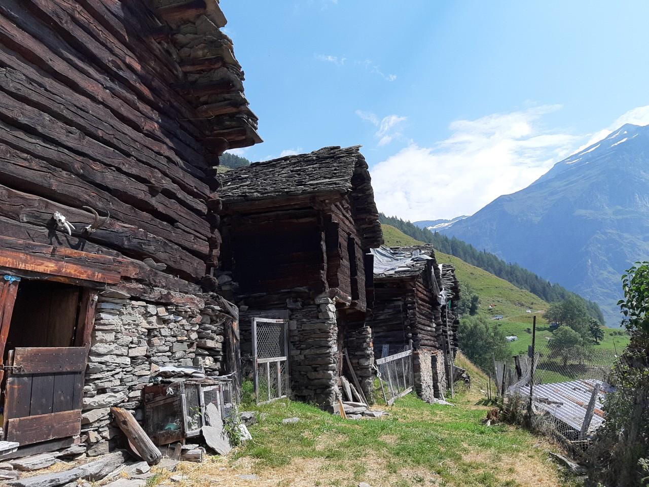 Image 1 - Germanionico