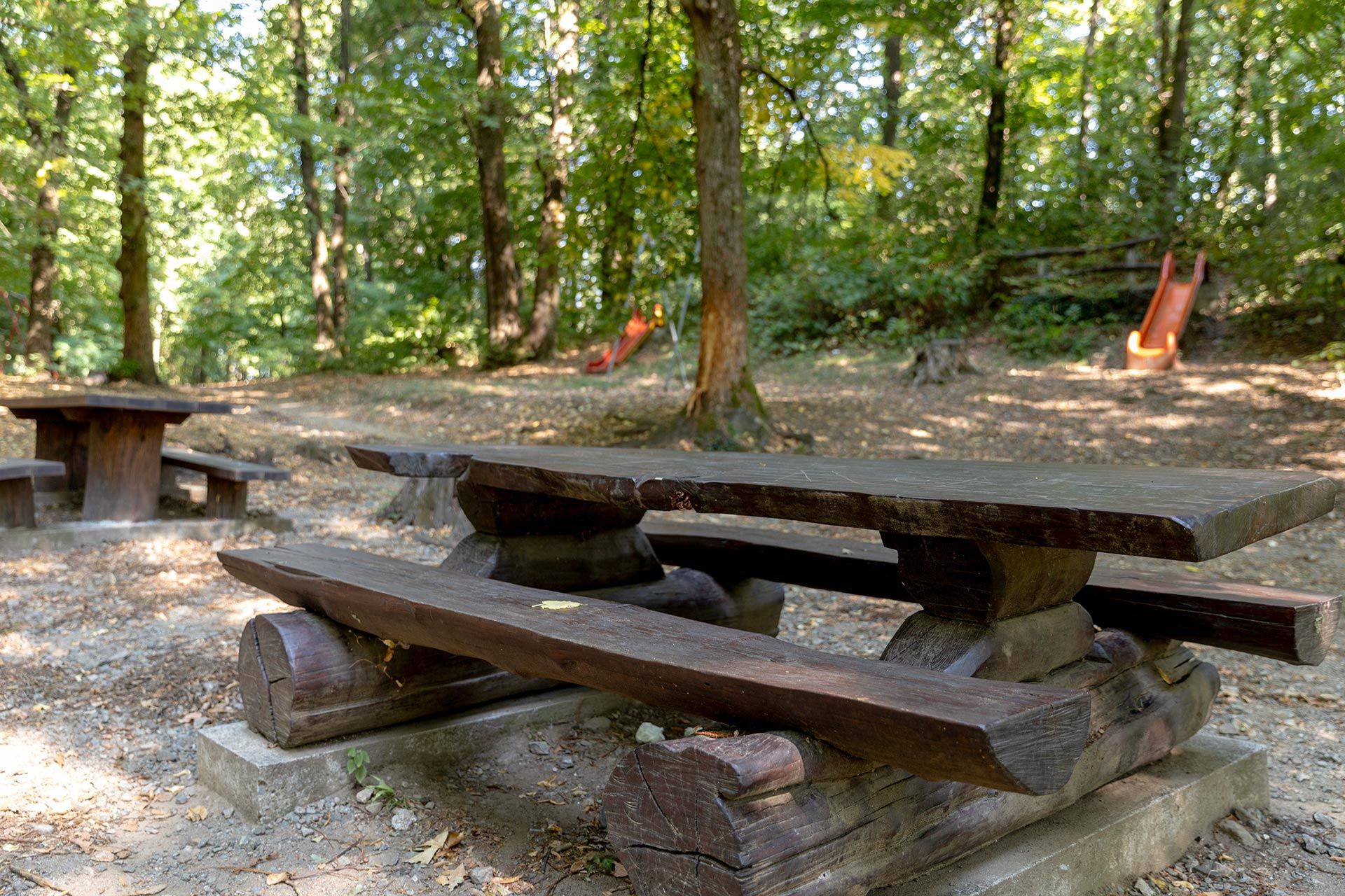 Image 1 - Picnic area – Bosco di Crano Ponte Capriasca