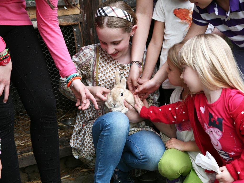 Image 15 - Ostello per la Gioventù Lugano Savosa