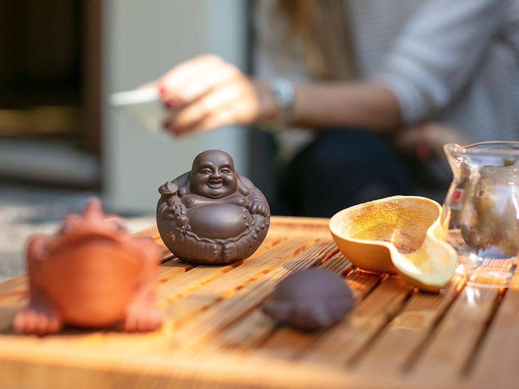 Image 5 - Plantation de thé du Monte Verità