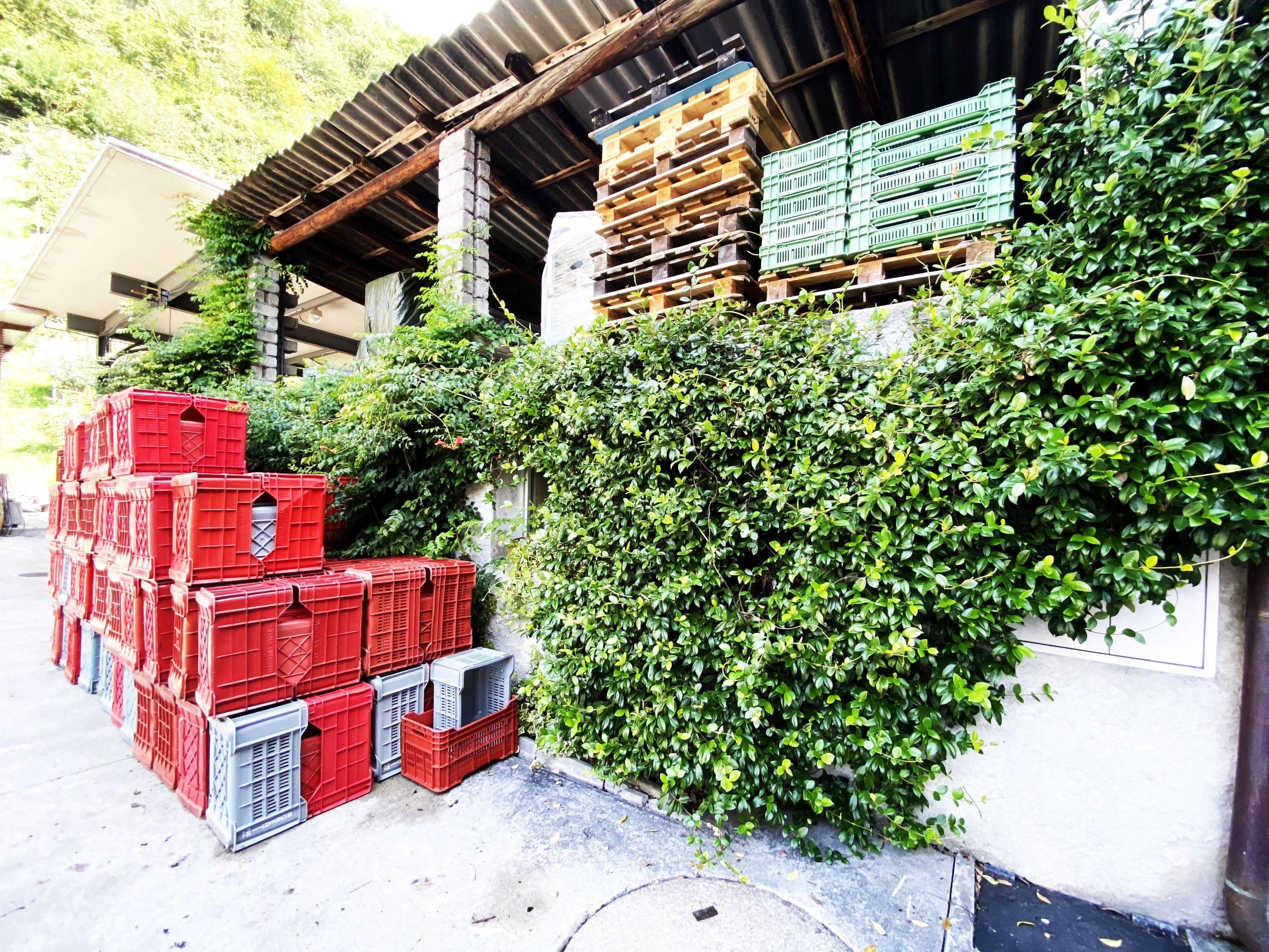 Image 8 - Wine cellar Settemaggio	