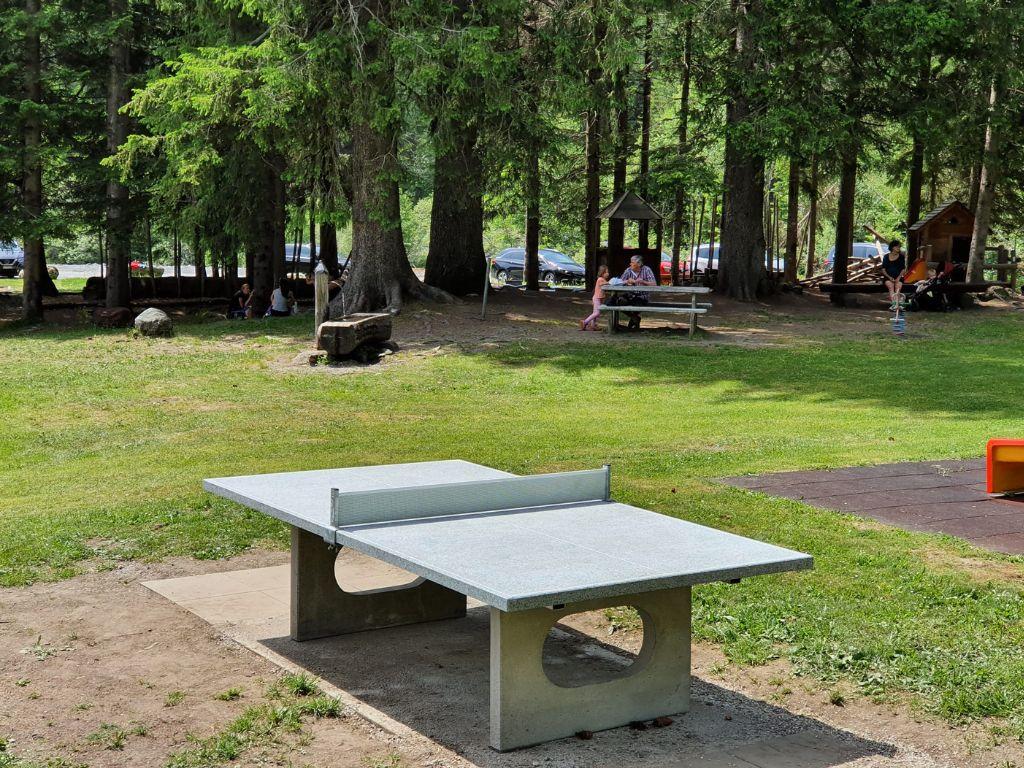 Image 4 - Ristorante Pineta Saracino