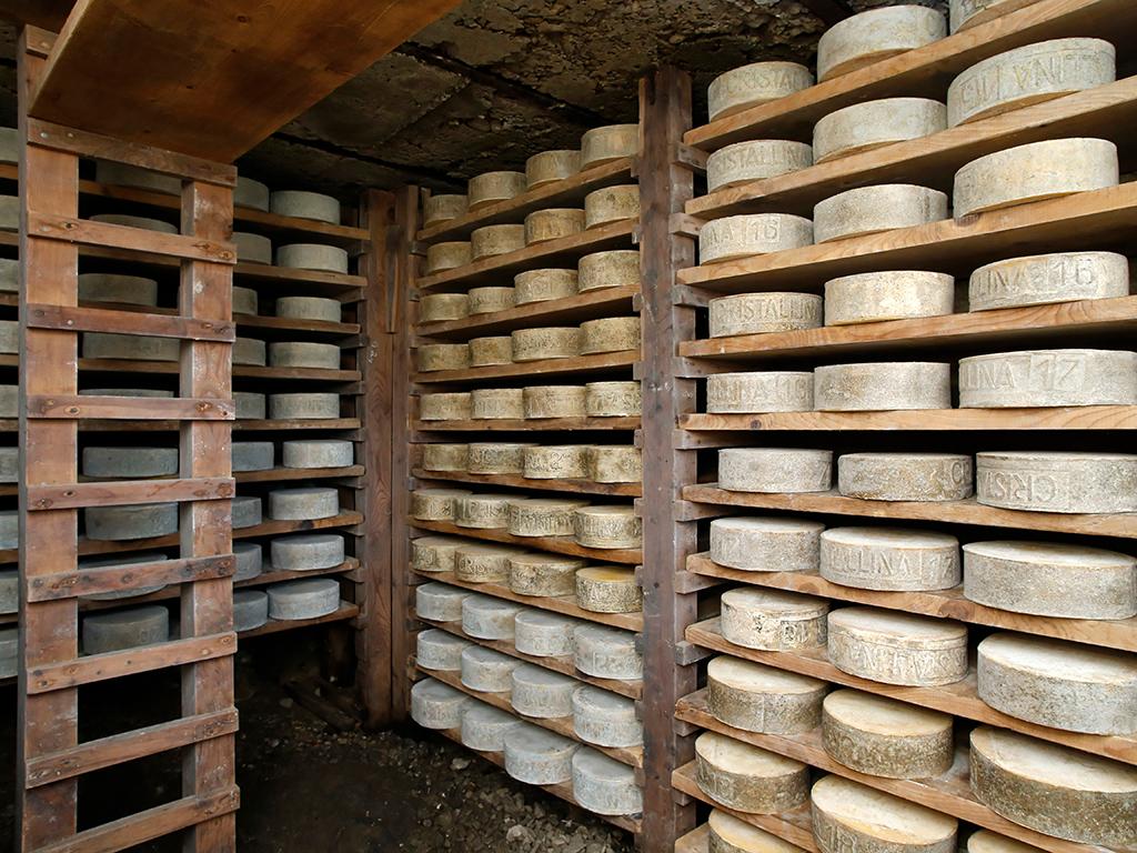 Image 1 - The AOP alpine cheese