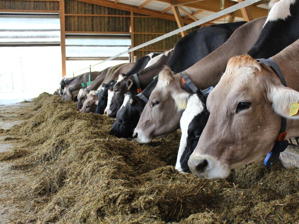 Image 8 - Masseria Ramello